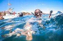 Isla Tortuga boat tour - from Paquera