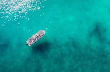 Isla Tortuga boat tour - from Paquera