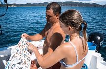 Isla Tortuga boat tour - from Paquera