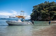 Isla Tortuga boat tour - from Paquera