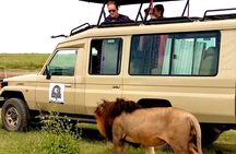 4 Days Budget Camp Safari Serengeti, Ngorongoro Crater and Tarangire Park