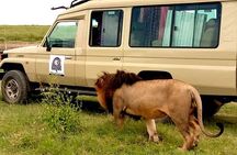 5 Day Adventure Camping Safari to Serengeti, Ngorongoro crater & Tarangire