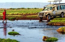 5 Day Adventure Camping Safari to Serengeti, Ngorongoro crater & Tarangire