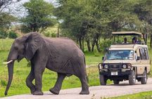 5 Day Adventure Camping Safari to Serengeti, Ngorongoro crater & Tarangire