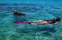Exclusive Beach Day Tour to Punta Leona from San Jose