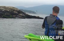 Ocean is Yours Seadoo Experience from Vancouver