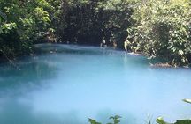 Rio Celeste Waterfall and Sloth Sactuary Full-Day Tour with Lunch