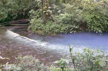 Rio Celeste Waterfall and Sloth Sactuary Full-Day Tour with Lunch