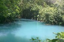Rio Celeste Waterfall and Sloth Sactuary Full-Day Tour with Lunch