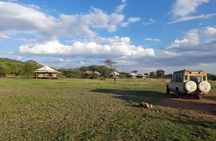 7 Day Tanzania Camping Safari Private Tour