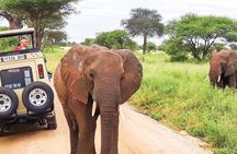 5 Day Tanzania Safari Camping Adventure Private Tour