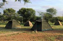 5 Day Tanzania Safari Camping Adventure Private Tour