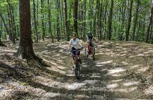 Mount Etna E-bike half-day tour