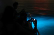 1-Hour Bioluminescent Boat Tour in Mosquito Bay, Vieques 