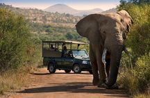 3 Days Kruger & Swaziland Tour from Johannesburg