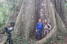 Economic Manu Jungle Tour (4 Days)