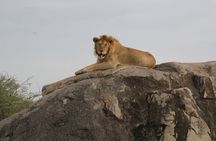 5 days nothern Tanzania camping Safari