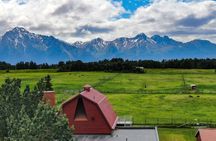 Guided Tour of Musk Ox Farm