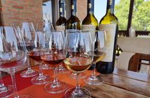 3 Organic Wineries Private Day Trip to Wine Province With Lunch and Tastings