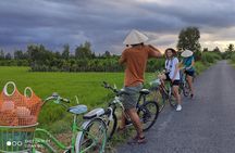 Full-Day Experience in Mekong Cycling and Authentic Home Cooking