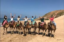 All Stunning Places of Tangier in a Private Tour