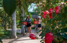 E-bike Tour by ComhiC - The Highlights - 3h
