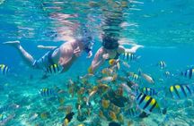 Bali Blue Lagoon Snorkeling Tour with Lunch, Private Transfer