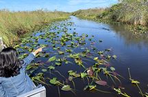 Everglades Airboat, Wildlife Show and free Photo