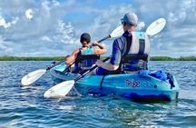 Small Group Kayak Tour of the Shell Key Preserve
