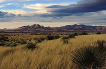 A Wine Tasting Experience in the Vineyards of the Desert