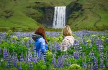 Full-Day South Coast Tour & Glacier Hike - with Photo Package