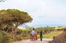 Wine tasting and visit to a design Cellar at Ripalte
