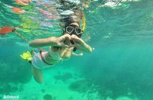 OnBird - PRIVATE ADVENTURE SNORKELING - explore Half-moon reef & Coral Mountain