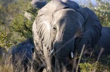 5 Day Kruger National Park tour