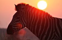 3 Day Kruger National Park tour