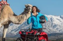 Agafay Desert: Camel Ride and Quad bike with Dinner Show