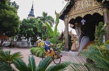 Authentic Chiang Mai 4-Hour Bicycle Tour with Northern Food