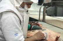 Unique Tailored Tours - The Hummingbird Trip