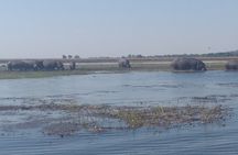 Chobe Botswana Full-Day Trip