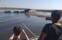Chobe Botswana Full-Day Trip