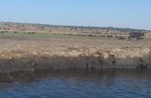 Chobe Botswana Full-Day Trip