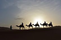 The Colors of Morocco in a 17 Days Private Tour