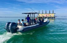 Miami Small Group Boat Tour: History, Wildlife, and Stiltsville