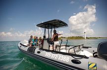 Miami Small Group Boat Tour: History, Wildlife, and Stiltsville