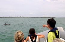 Miami Small Group Boat Tour: History, Wildlife, and Stiltsville