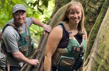 El Yunque Small Group Tour with Luquillo Lunch Stop and Transport