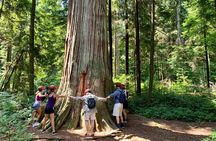 Vancouver Stanley Park 3 Hour Bike Tour