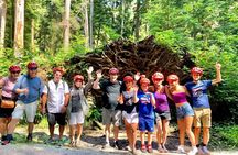Vancouver Stanley Park 3 Hour Bike Tour