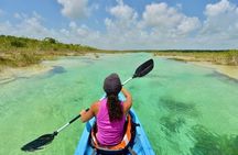 Bacalar Lagoon Tour! Kayak & Cenote Azul + Round Transportation From Cancun