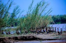 Full-Day Tour Bujumbura With Rusizi Park And Stanley Monument